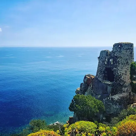 Domu Mea 3* 萨罗克