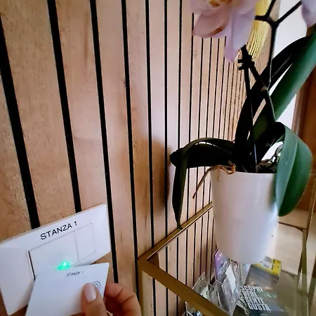 Domu Mea Frühstückspension 3*