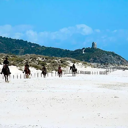 Bed and breakfast Domu Mea 3*