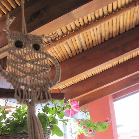 Domu Mea Bed & Breakfast Sarroch